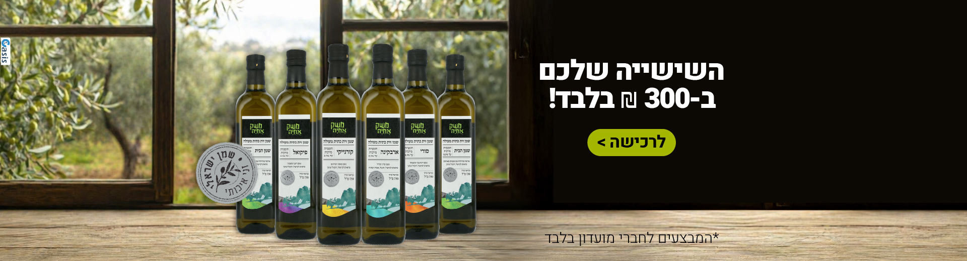 השיישיה שלכם ב300 שח בלבד! לרכישה > לחברי מועדון בלבד