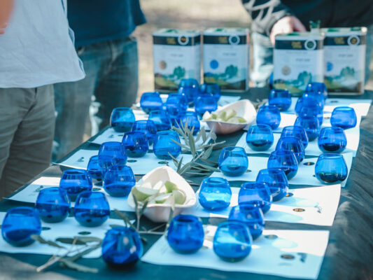 סדנת טעימות שמן זית במשק אחיה