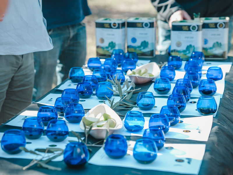 סדנת טעימות שמן זית במשק אחיה