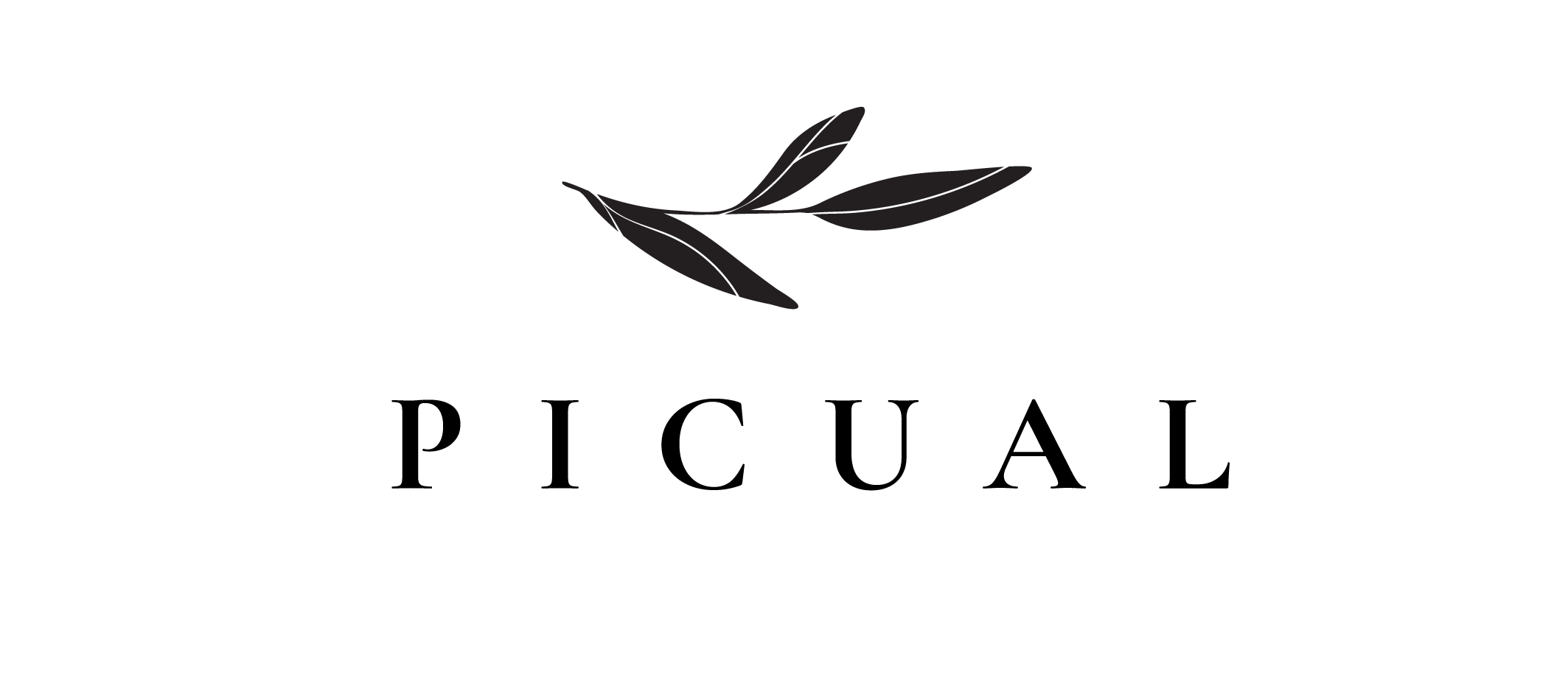 DAVID CITADEL מצודת דו