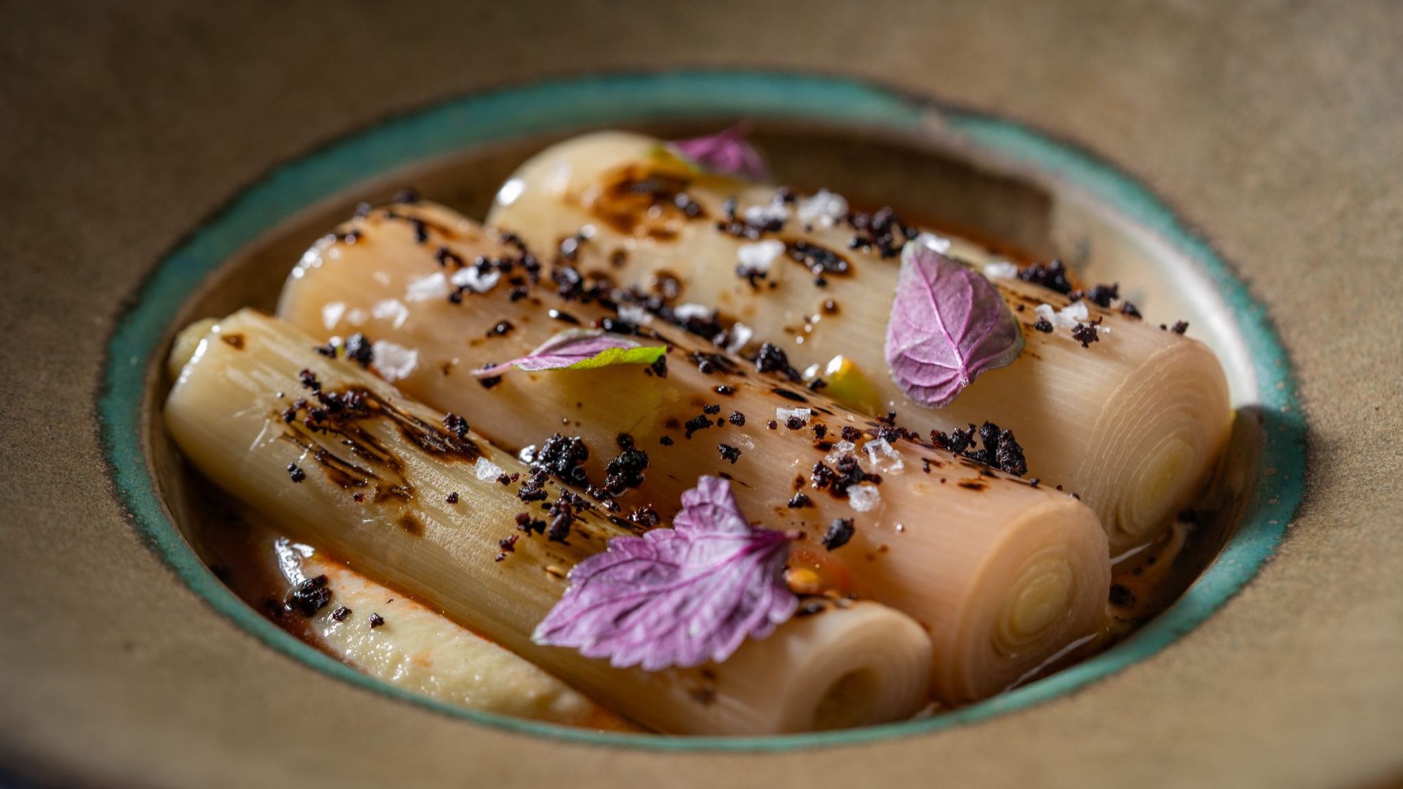 קונפי כרישה וסקורדליה